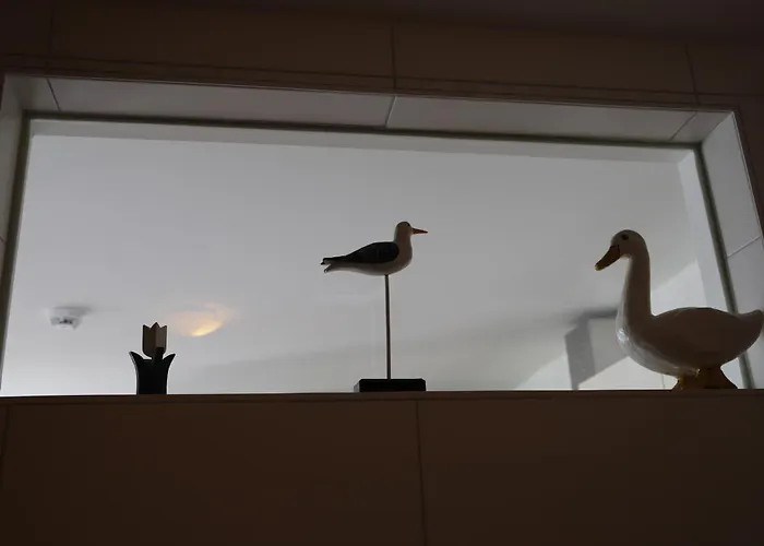 Moevenkieker * Kappeln